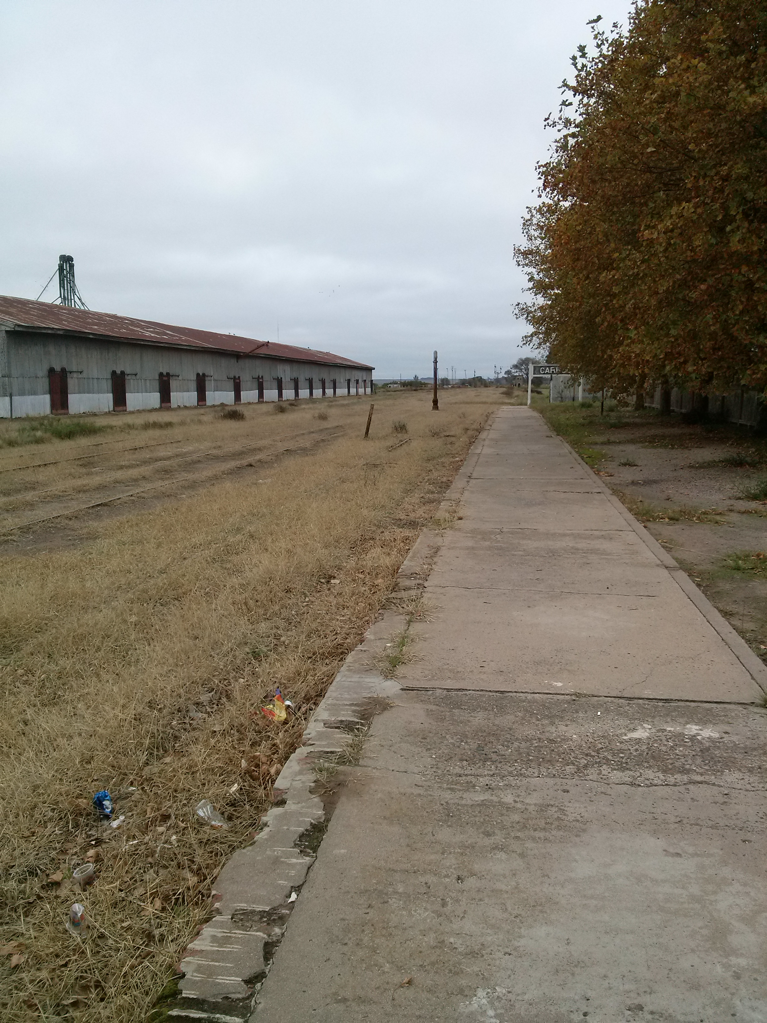 anden-de-estacion-carhue-mirando-hacia-el-cartel.jpg