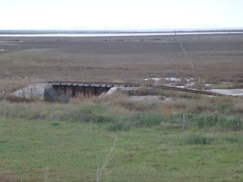 el-mismo-puente-del-midland-desde-un-costado.jpg