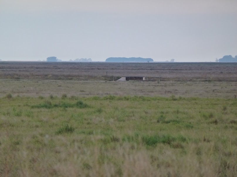 otro-puente-del-midland-sobreviviente-entre-cilley-y-rolito.jpg